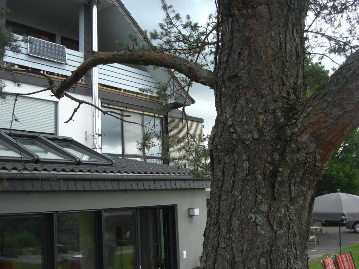 Ferienwohnung Alter Weinberg 萨尔堡 外观 照片